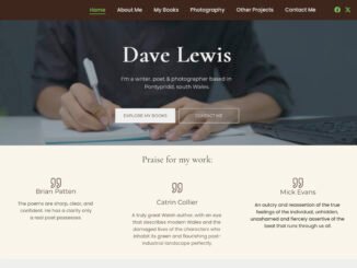 Dave Lewis - new website